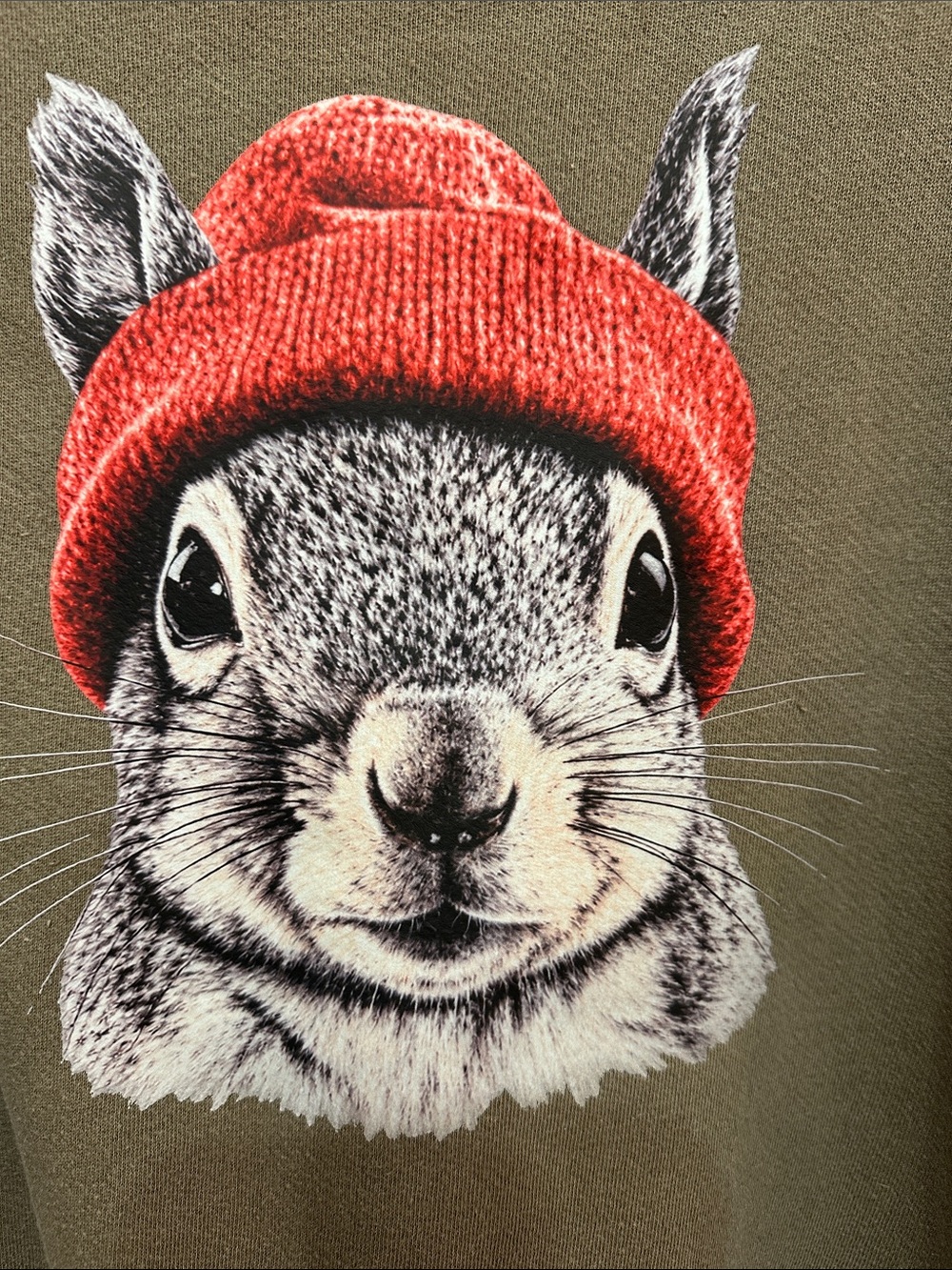 Free people Sweatshirt Squirrel we the free Camden custom - Picture 2 of 4
